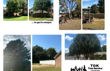 T&K Tree Service