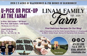 Linam Family Farm Blackberries and Blueberries